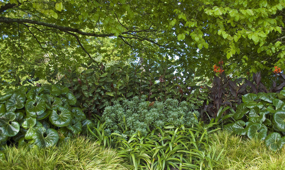 Public garden redesign