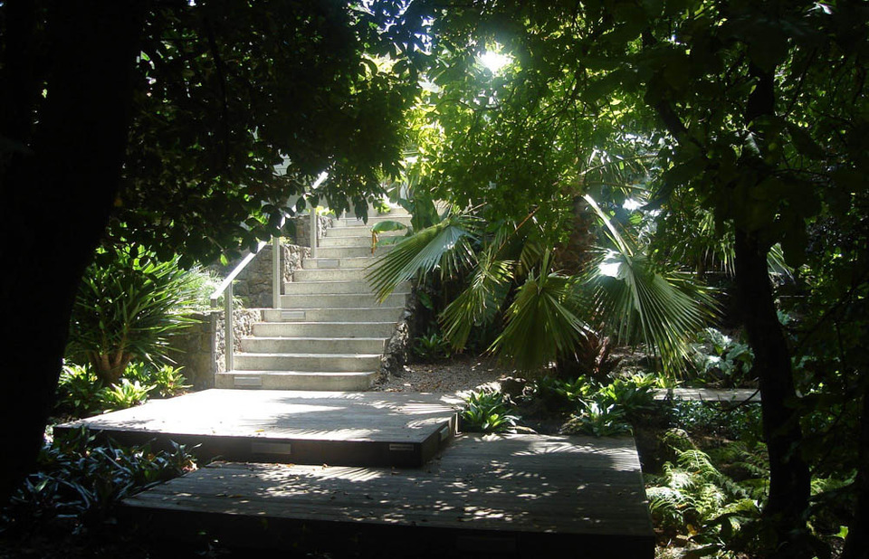 Sub-tropical garden, Auckland
