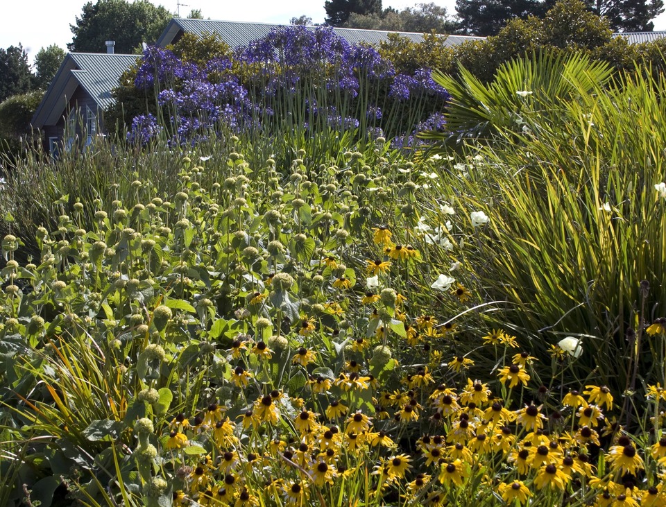 Auckland public gardens