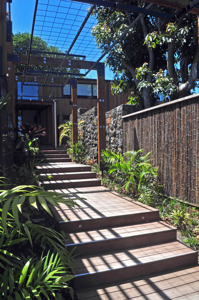 Mt Eden Garden